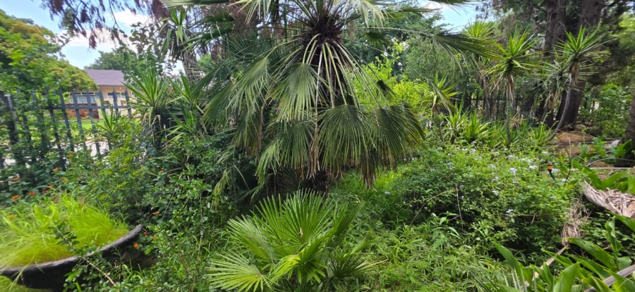 6 Bedroom Property for Sale in Wilkeville North West